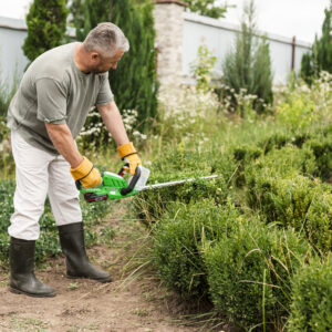 Mantenimiento de jardines